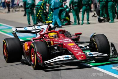 ハミルトン、レース中に小動物ひいて傷心 カナダGP