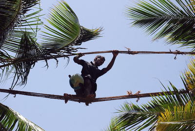 後継者不足に悩むスリランカの「綱渡り」職人たち