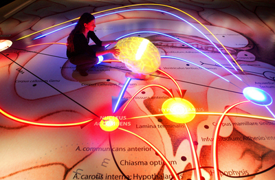 脳の神経経路模型もアートに、「幸福、幸運、未来」テーマの作品展