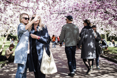 世界で「最も幸福な国」はデンマーク、日本は53位 国連報告書