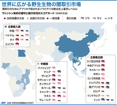 【図解】世界に広がる野生生物の闇取引市場