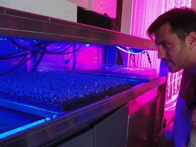 中古コンテナ利用した作物栽培システム、米ベンチャー企業