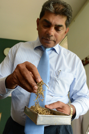 高級茶の強精効果アピール、セイロン紅茶の新戦略