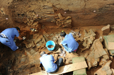 始皇帝祖母の墓とみられる場所に陪葬のテナガザル、「新種」と確認