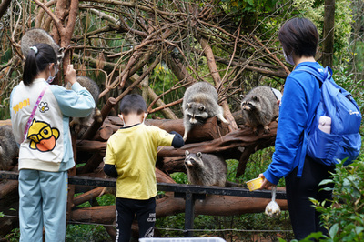 動物の王国、世界の花園 野生動植物を保護する中国雲南省
