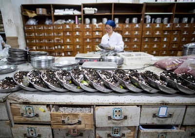伝統薬の市場開拓を目指す中国、輸出には課題も