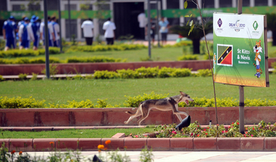 コモンウェルス・ゲームズ選手村のトイレ詰まり、原因は大量のコンドーム