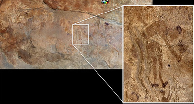 植物の加熱調理痕、1万年前の器片から発見 研究
