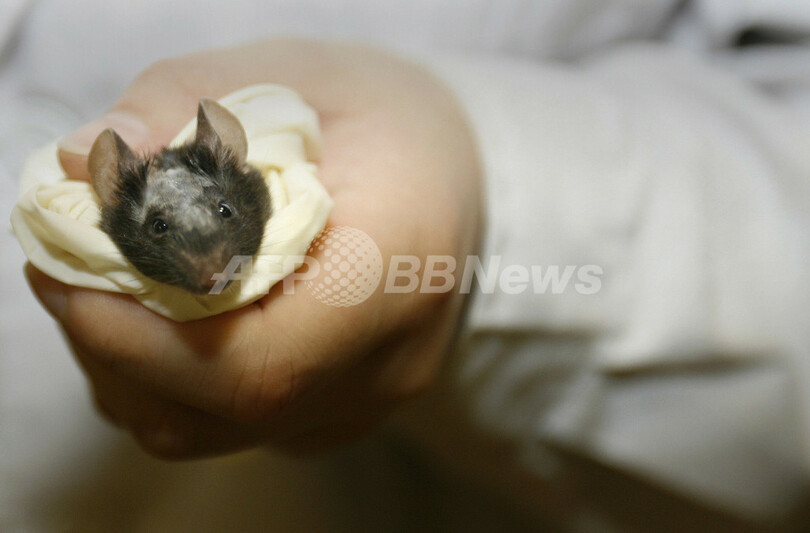 中国のシリコンバレー、中関村 - 中国