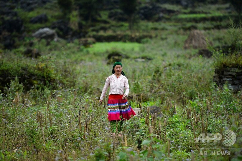中国で児童婚の花嫁に、行方不明の娘を必死に捜す母親たち ベトナム