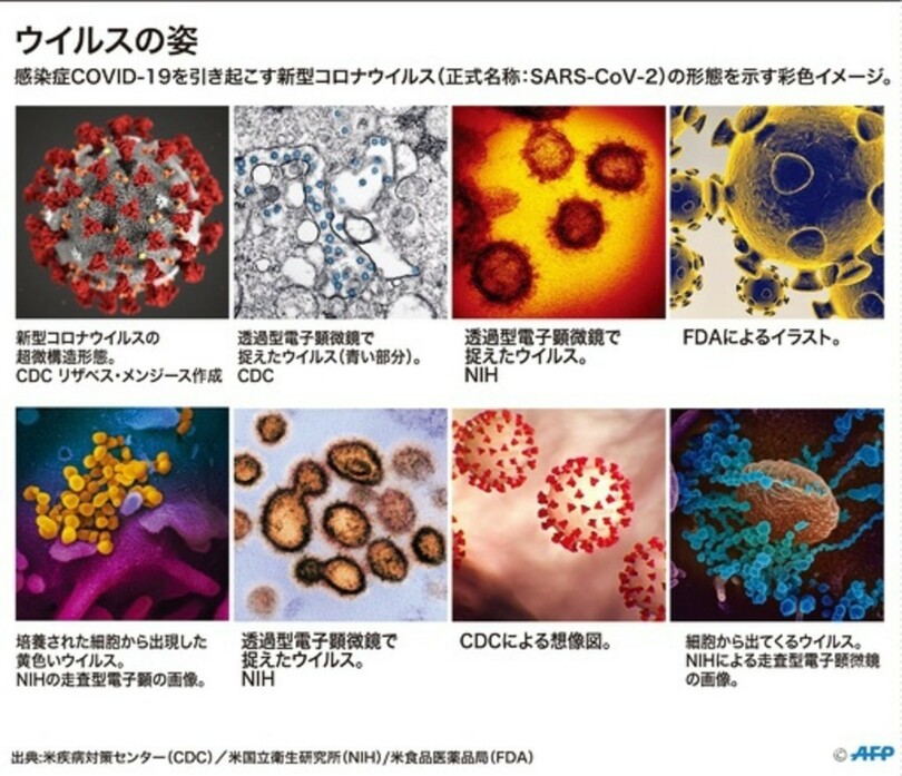 新型コロナウイルス、パンデミック用語集