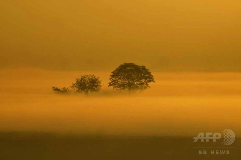 【AFP記者コラム】気候変動、コップの水は「まだ半分」か「もう半分」か