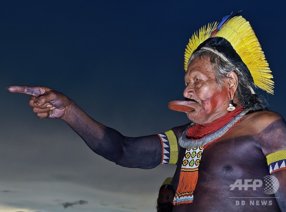 値頃 アマゾンの先住民族 アマゾンに住む真実の人々 40x53cm - www