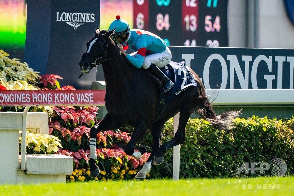 日本馬が香港国際競走を席巻、4レース中3勝 写真6枚 国際ニュース