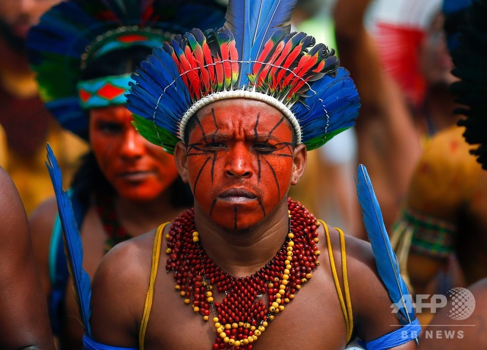 アマゾンの先住民 - 美術品