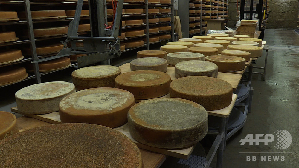 料理の交響曲: 音楽がチーズの風味を変えることを実験で示した