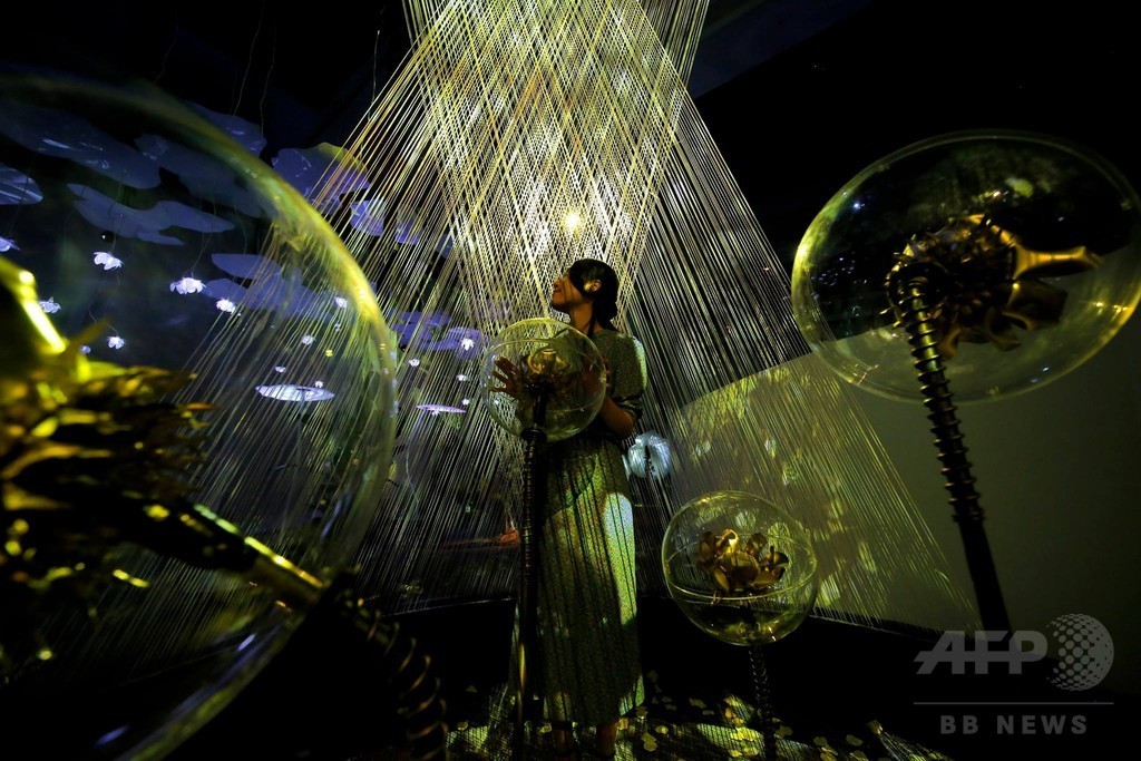 夏の後半戦を楽しむ！期間限定プロジェクションマッピング3選