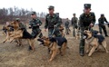 写真は、軍用犬の訓練を行う北朝鮮軍の兵士ら。撮影場所は不明（2013年4月6日撮影、7日公開）。(c)AFP/KCNA via KNS