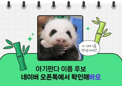 韓国の双子パンダ、名前は投票で決定…公表は10月中旬か