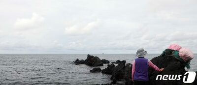 輸出ストップで生計断たれた韓国・済州の海女たち…活サザエ、日本向け出荷が中断の危機