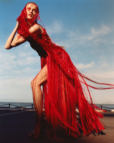 自然界の神秘的な変容「アレキサンダー・マックイーン」18年秋冬AD