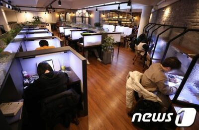 韓国の「スタディカフェ」と「読書室」…「似ているのに適用法が違う」という不合理