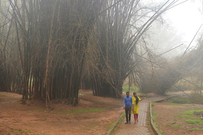 夫の性器をかみ切る、殺人未遂で妻逮捕 インド
