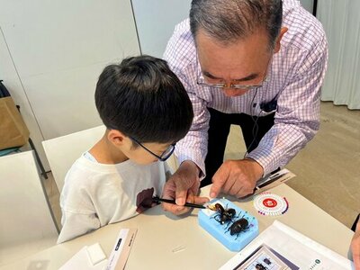 【玉川高島屋S.C.】夏のイベント情報 第二弾 人気昆虫系YouTuber「むし岡だいき」氏のトークショーやカブトムシの標本づくりワークショップも開催！「たまがわ昆虫展2026」詳細コンテンツを公開