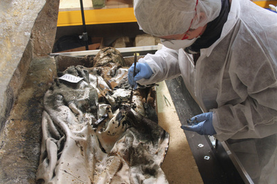 仏17世紀貴婦人の遺体発掘か、衣類も完全に残存