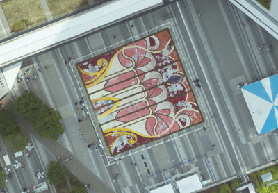 ベルギーのフラワーカーペットが東京スカイツリーに登場