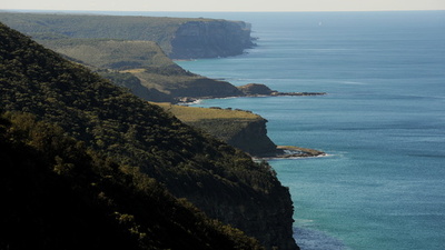 裸で日光浴中、鹿に襲われ…豪男性2人、コロナ規制違反で罰金8万円