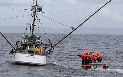 「遠洋漁業は経済的損失」、経済学者が禁止を提言