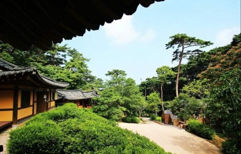 安眠島自然休養林は樹齢100年前後の安眠松とともに韓屋に宿泊できる休憩スポットだ（韓国観光公社提供）(c)news1