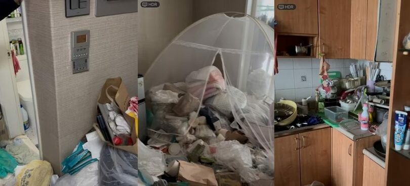 「ボベドリーム」(c)news1