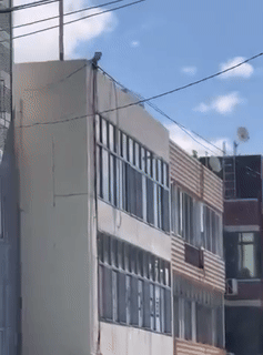 屋上から落ちる水しぶき「ボベドリーム」(c)NEWSIS