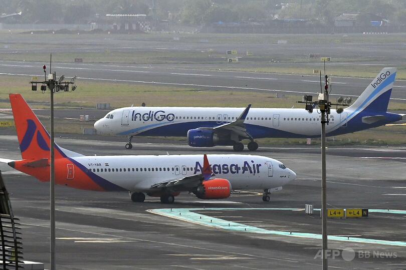 預け手荷物に毒ヘビ数十匹、密輸犯逮捕 インド