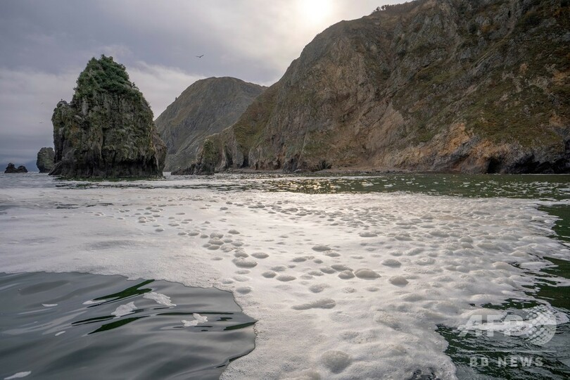 カムチャツカ海洋汚染、大規模な油膜形成 千島列島に向かって南へ