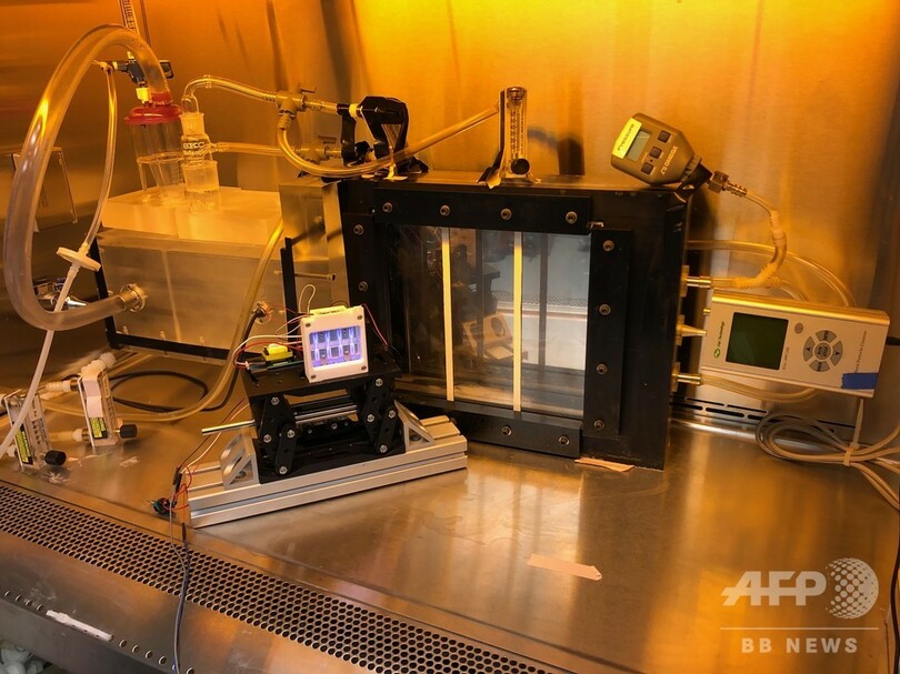 紫外線ランプ、新型コロナとの闘いに光明か 米大が実験