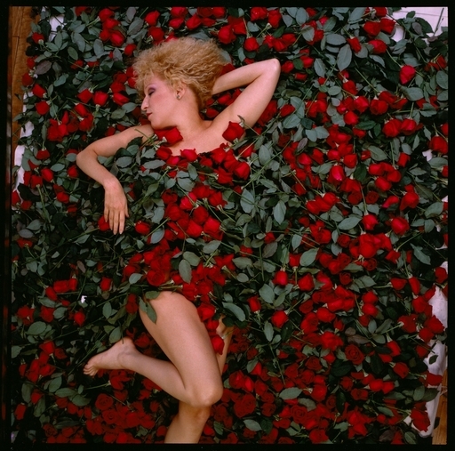 モデル土岐田麗子、アニー・リーボヴィッツの“薔薇写真”に挑戦 写真3枚