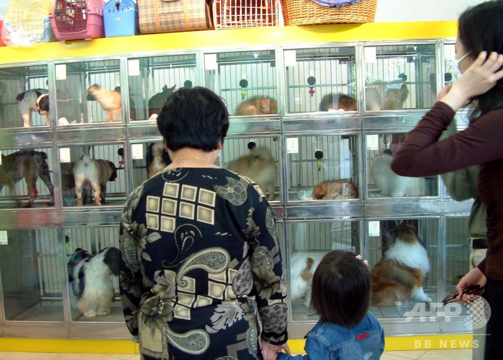 中国のペット市場3兆円迫る 飼い主は7355万人 中国のペット市場3兆円迫る 飼い主は7355万人