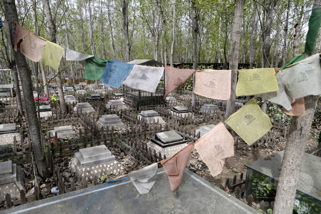 「うちの子」が眠るペット墓地 北京で人気、3万円から 「うちの子」が眠るペット墓地 北京で人気、3万円から