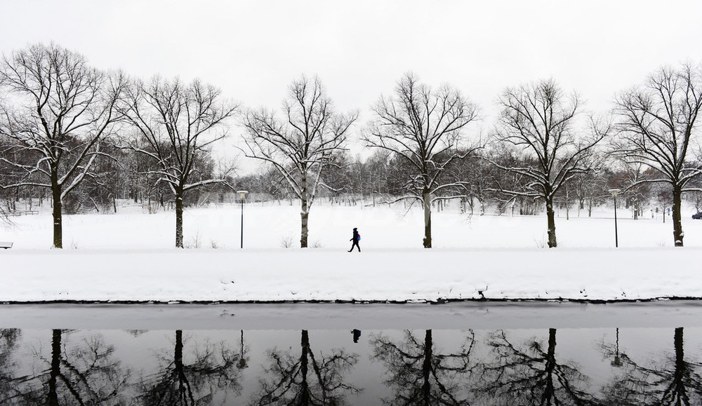 一面に広がる白銀の世界、ストックホルムのユールゴーデン公園 写真12枚 国際ニュース:AFPBB News