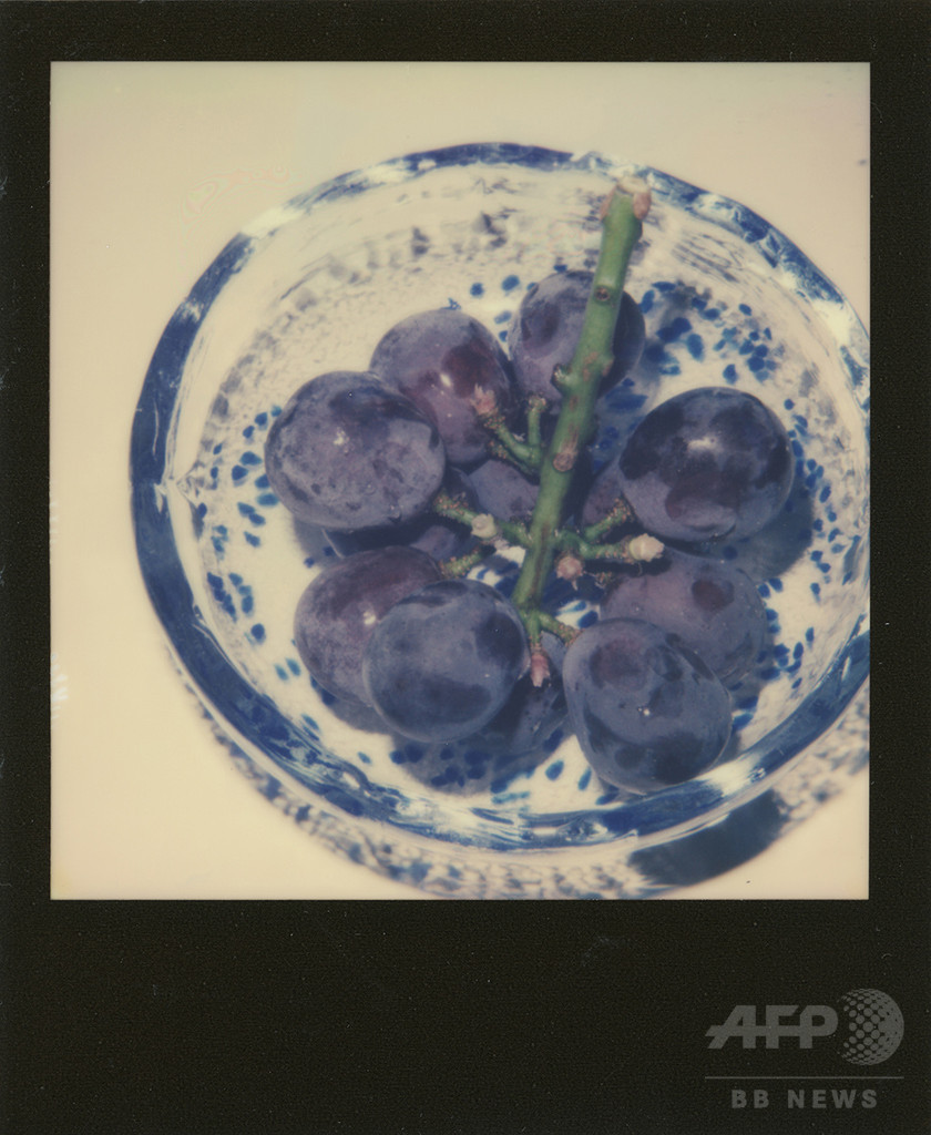 アラーキー個展「淫冬」、原宿で開催 