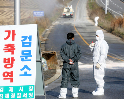 韓国で低病原性鳥インフルエンザの感染を確認