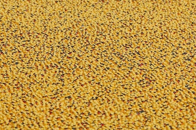 ゴムのアヒル7万5000個が「レース」 米シカゴ