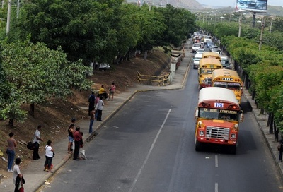 バス車内に大蛇出現で大騒動、中米ニカラグア