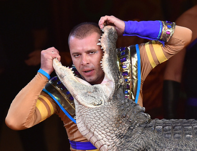 テーマは「過激」、ウクライナの国立サーカス団が新作公演