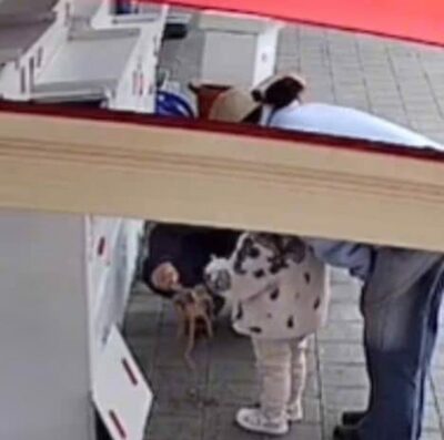 韓国・刺し身店、水槽を開けて子どもにタコを触らせた保護者…タコ死亡でネット炎上「犯罪だ」