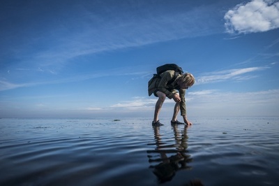 【今日の1枚】水面に立つ、海の森を育てる調査員 オランダ