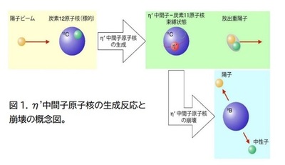 新種の原子核!?　強い相互作用だけで束縛した中間子原子核の兆候を初観測 ― 質量の起源解明への新たな一歩